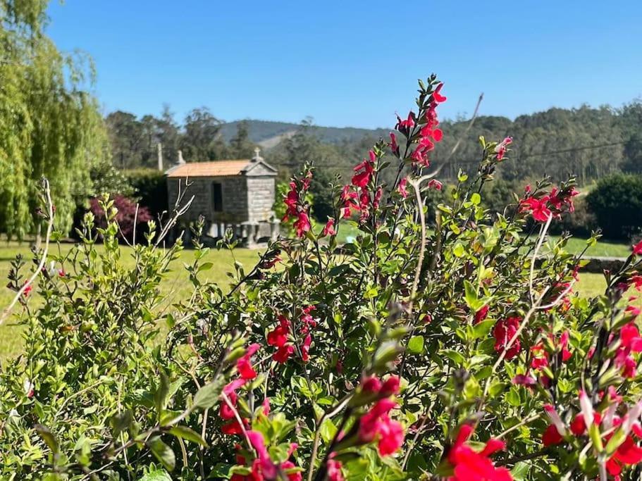 Lugar Do Curro, San Martino De Ozon Villa Мушия Екстериор снимка